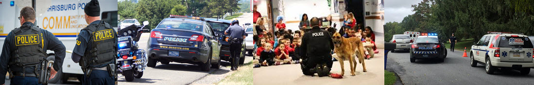 Dauphin County Banner