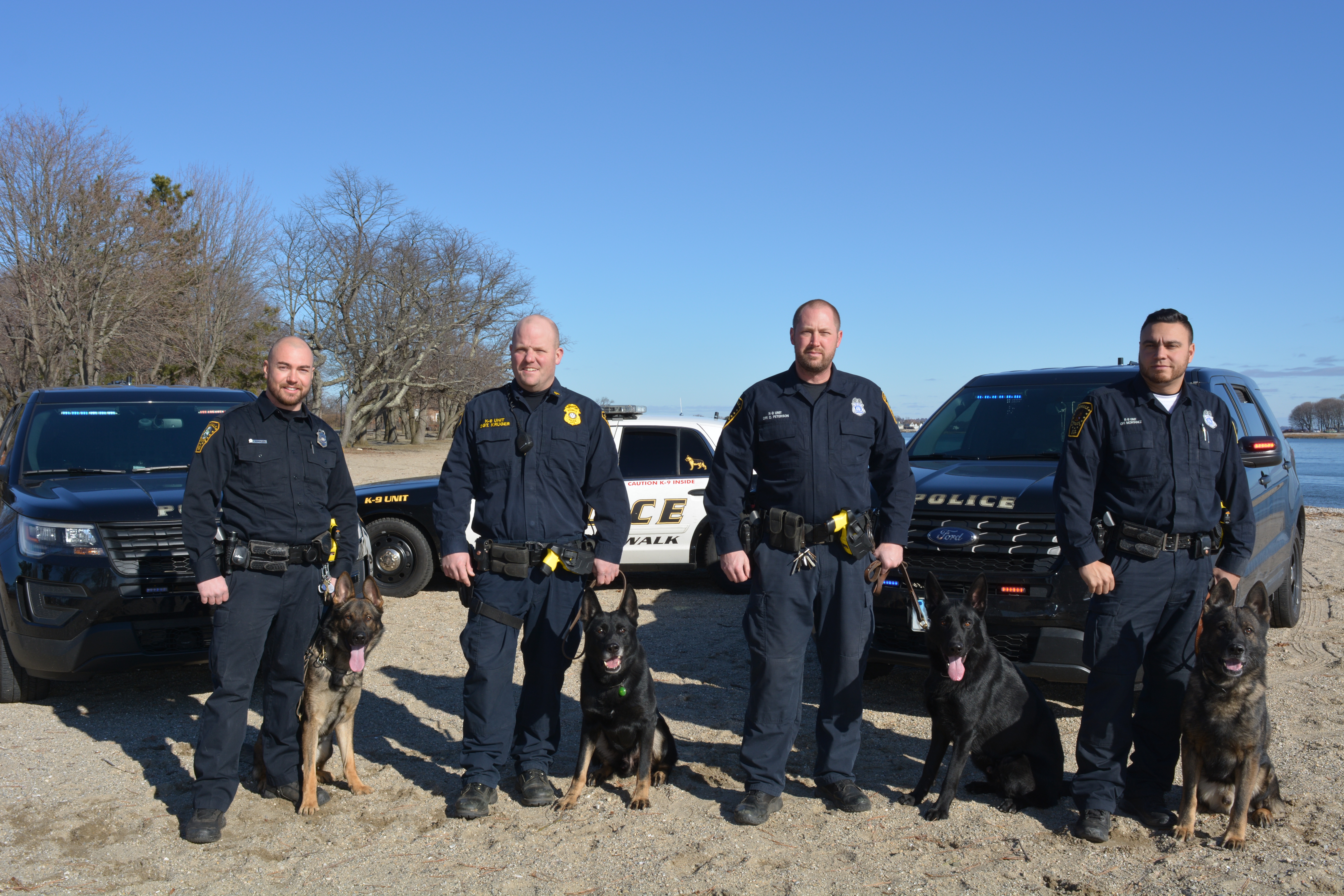 K9 Team