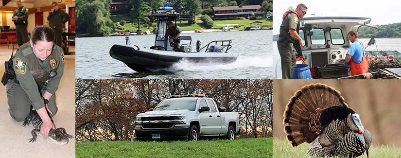 Connecticut Environmental Conservation Police Division, CT Public Safety Jobs